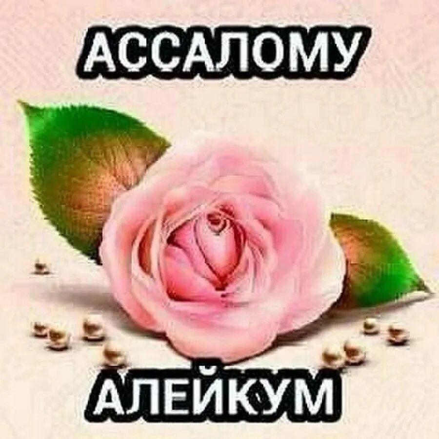 Ассалам алейкум. Открытки Салам алейкум. Картина Салам алейкум. Открытки АС саляму алейкум. Катта рахмат