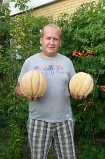 Человек дыня
