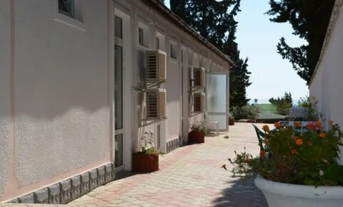 Парус алушта