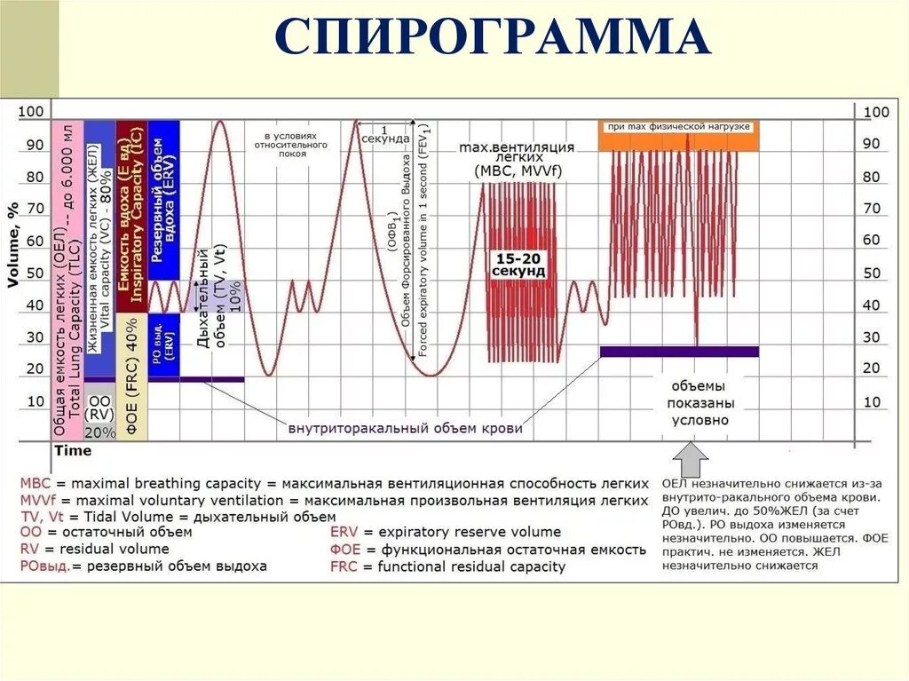 Спирограмма дыхания. Показатели внешнего дыхания спирометрия. спирограмма физиология график. частота дыхания на спирограмме. спирометрия спирография нормы.