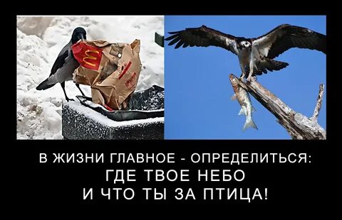 Где твоя жизнь