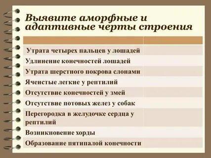 Черты дикого