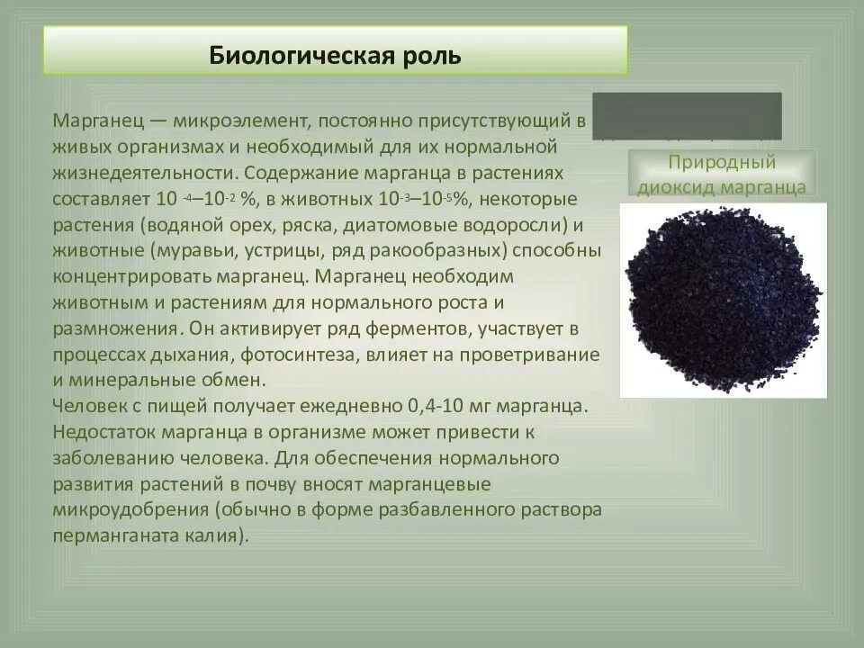 Марганец процесс. Биологические функции марганца. Биологическая роль марганца. Марганец презентация.