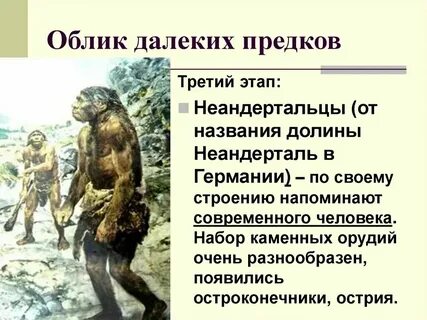 Характеристика первобытных вождей история 5 класс кратко