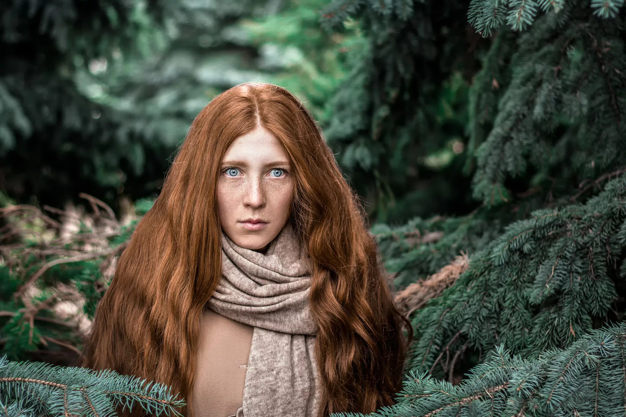 Девки ели. Девушка в хвойном лесу. Зимняя фотосессия у елки. Зимняя фотосессия в лесу. Кто такие девушек ели.