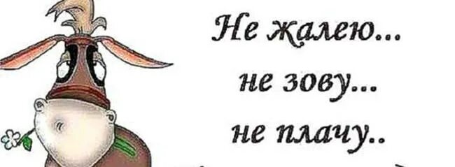 Не жалейте не зовите. Не жалейте не зовите