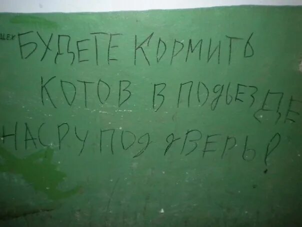 Как избавиться от кошек в подъезде. Не гадить в подъезде. кошки гадят в подъезде. объявление собаки гадят в подъезде.