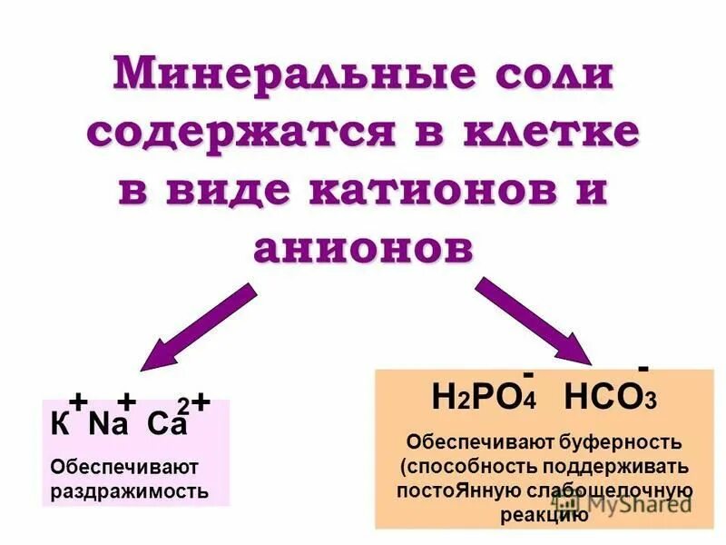 Гидролиз катион и анион таблица. Двойные и смешанные соли примеры. Формулы солей гидролизующихся по аниону. Соли содержащие анион. При гидролизе соли по аниону взаимодействует с водой анион.