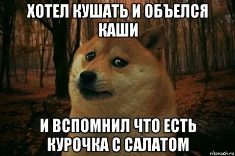 Ешьте что хотите только друг