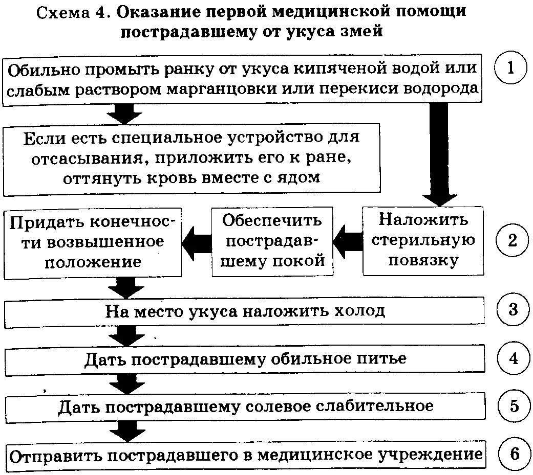 Оказание 1 помощи при укусах змей. Алгоритм оказания первой помощи при укусах змей. Алгоритм оказания первой помощи при укусе змеи. При оказании первой медицинской помощи при укусе змеи. Алгоритм оказания первой помощи при укусах насекомых.