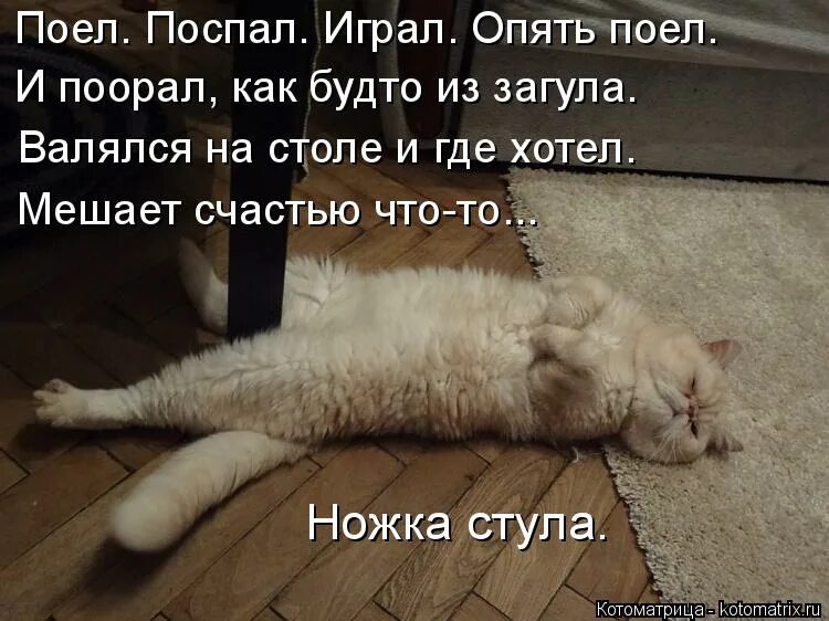 Спать после того как поешь. Открытки и поспать и пожрать. Поел поспал. Хочешь поспать поспи хочешь поесть поешь.