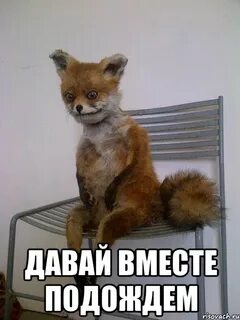Вместе подождем