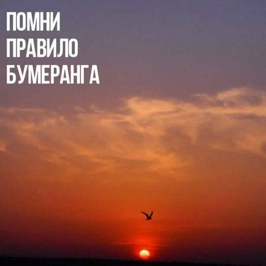 Бумеранг жене. Помни правило бумеранга. бумеранг высказывания. принцип бумеранга. жизнь бумеранг.