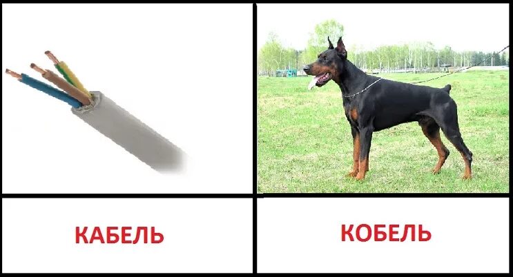 Хотя ты простой кабель слушать