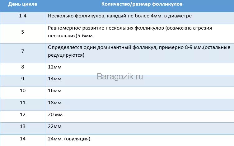 Фолликулы по дням цикла норма таблица. Фолликул по дням цикла таблица. Рост фолликула по дням цикла таблица норма. Размер фолликула на 11 день цикла норма.