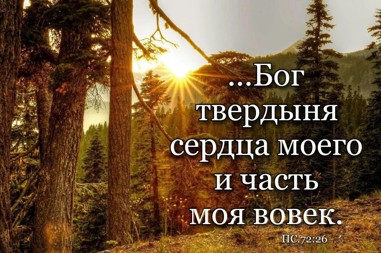 Бог твердыня моя. Бог твердыня сердца моего и часть. Бог твердыня сердца моего и часть моя вовек. О мой Бог. Крепись россия стой твердыней