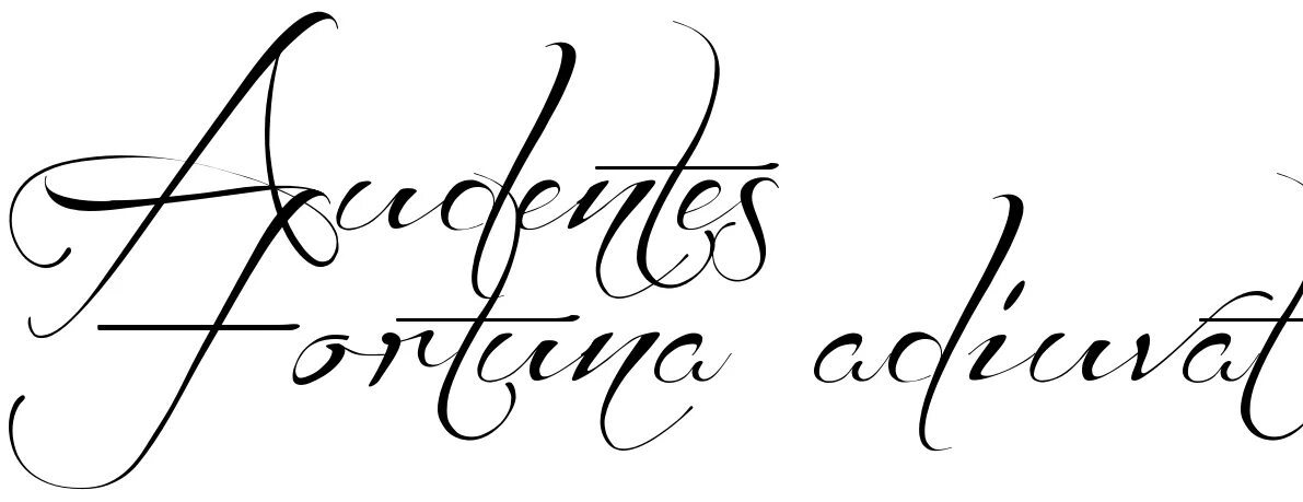 счастье сопутствует смелым на латыни. тату фортуна надпись. тату надпись fortes fortuna adjuvat. удача сопутствует смелым на латыни тату. сопутствующий на латыни.
