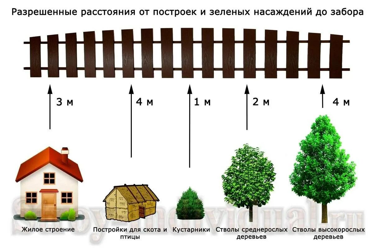 На каком расстоянии сажать деревья от соседей. Нормы посадки деревьев от забора в СНТ. Посадка деревьев от забора соседей нормативы. Посадка плодовых деревьев в участке нормативы. Нормы посадки деревьев и кустарников на участке СНТ.