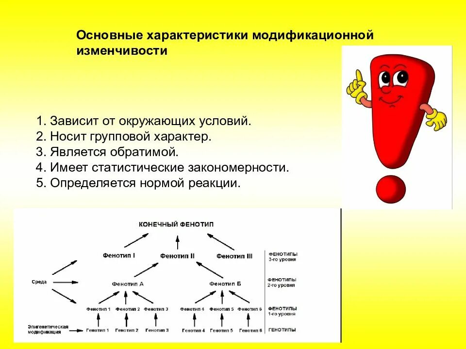 Практическая работа случайная изменчивость 7 класс. Практическая работа случайная изменчивость 7 класс