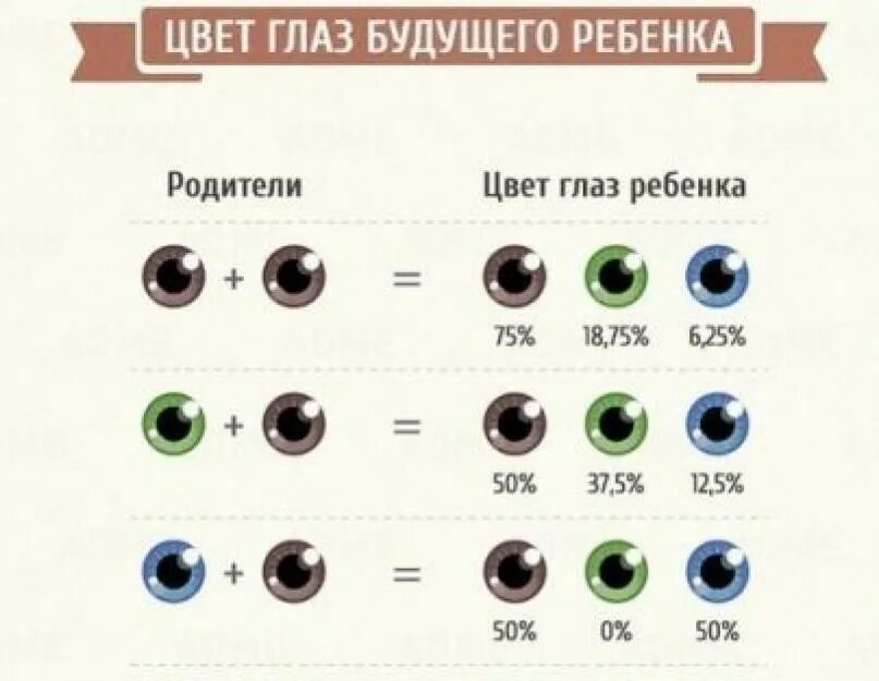 Может ли родиться светловолосый и голубоглазый ребенок. У голубоглазых родителей кареглазый ребенок. Цвет глаз у голубоглазых родителей. У голубоглазых родителей может родиться кареглазый ребенок. Наследование цвета глаз.