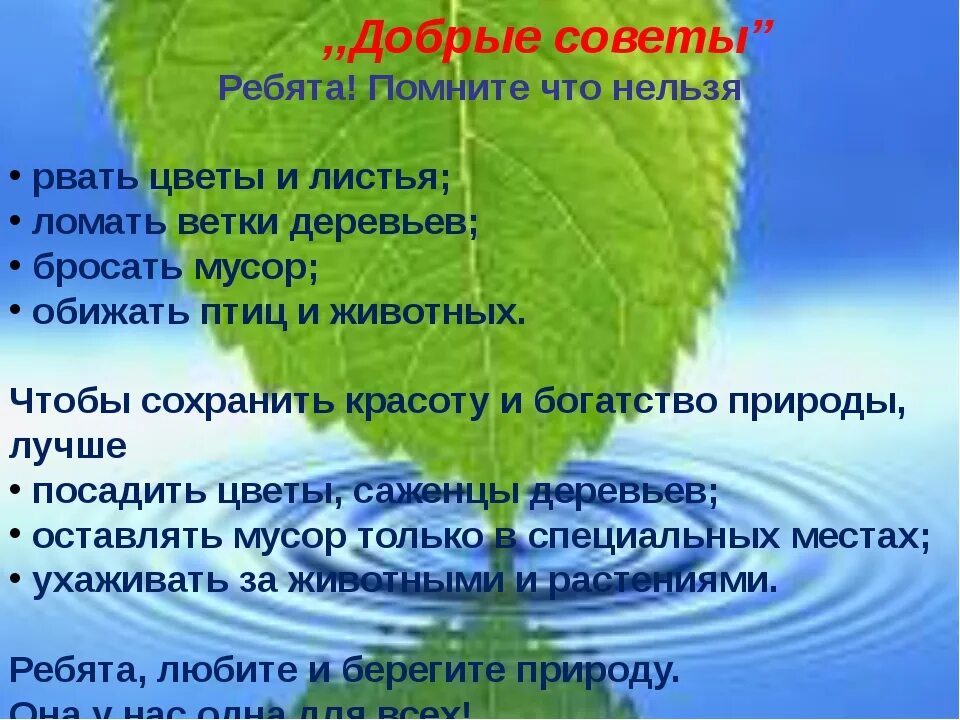 Природная основа организма. Экология и охрана природы. Защита экологии и окружающей среды. Берегите природу. Презентация на тему берегите природу.