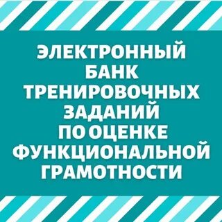 Рэш функциональная грамотность 2024