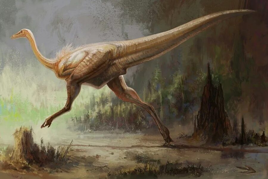 Струтиомим динозавр. Галлимимус струтиомим. Jurassic world evolution галлимим. Орнитомим динозавр. Галлимим динозавр.