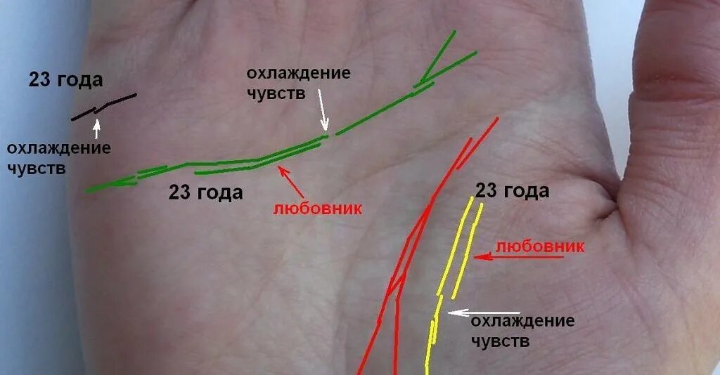 Как определить по руке сколько будет детей