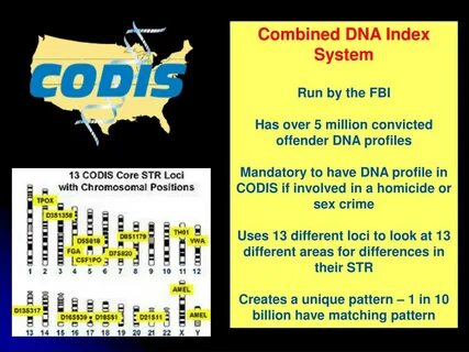 Index system