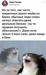 Звонят якобы