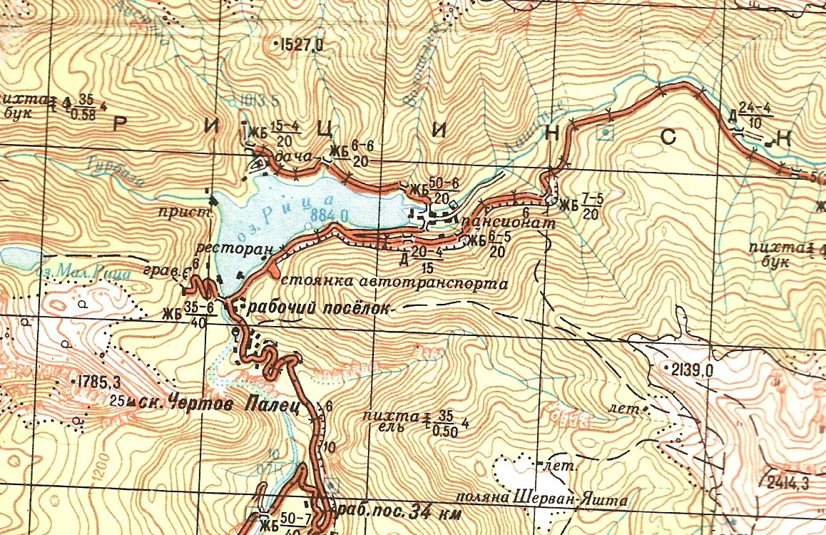 Озеро рица где находится на карте. Озеро Рица Абхазия на карте. Сочи Абхазия озеро Рица карта. Оз Рица Абхазия на карте. Карта Абхазии Рица озеро карта.
