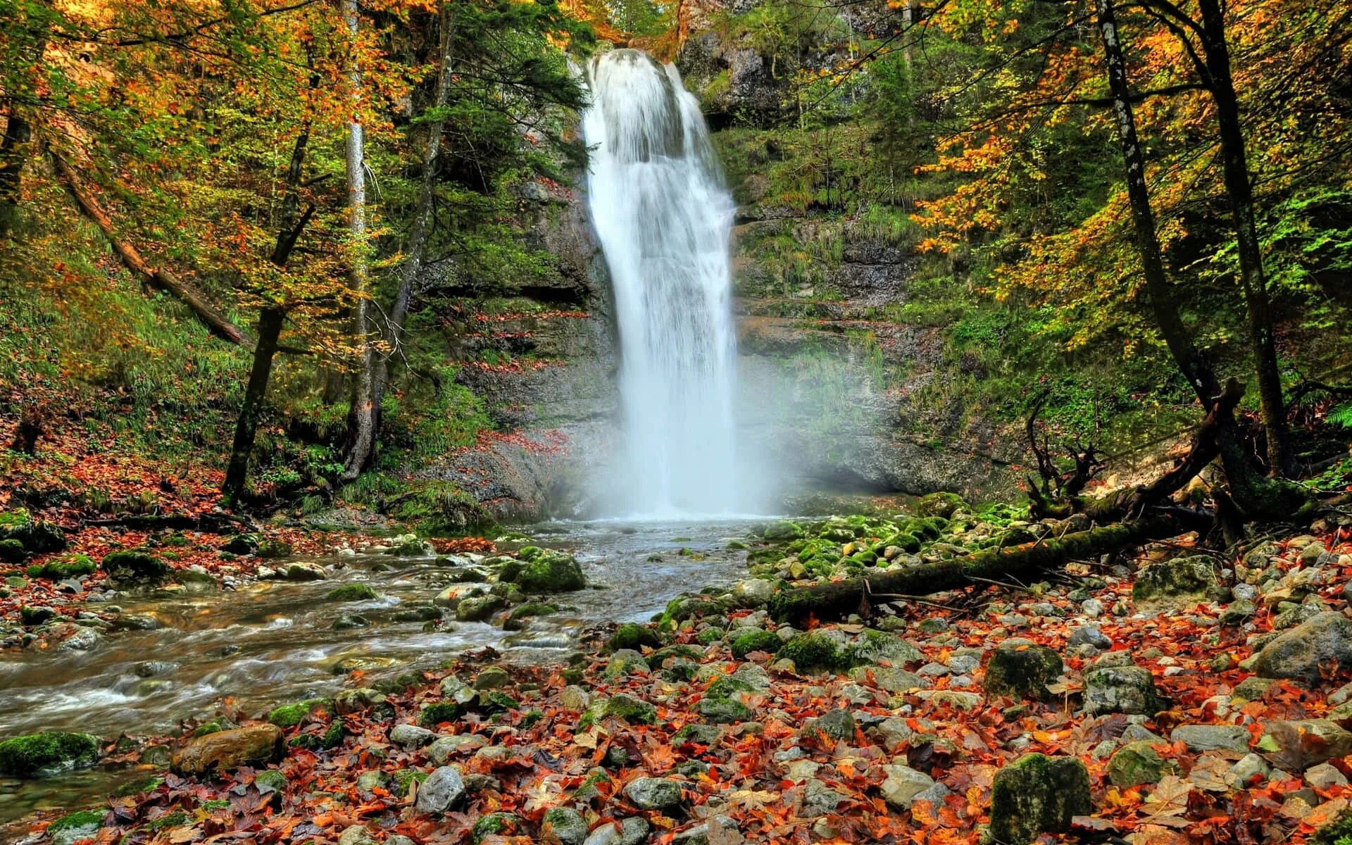 Natural fall. Красивые пейзажи с водопадами. Водопад в осеннем лесу. Водопад Лесной осенний. Водопад осень.