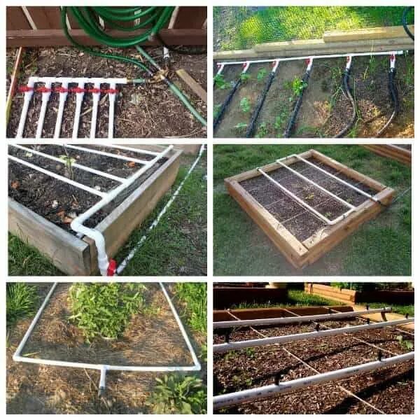 Полив теплицы. Перистальтический капельный полив. Капельный полив труба полипропилен. Капельный полив пропиленовые трубы в теплице. Полив теплицы из пропиленовых труб.