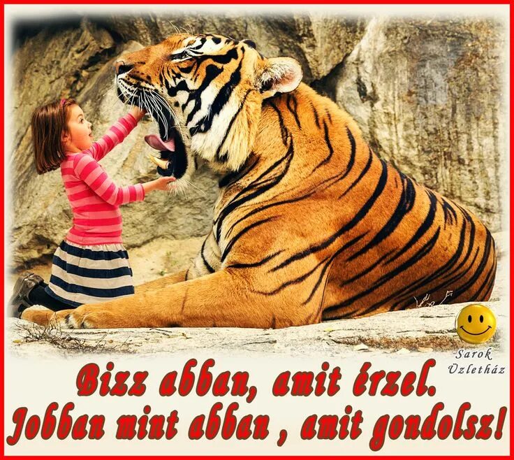 На эти выходные приедешь