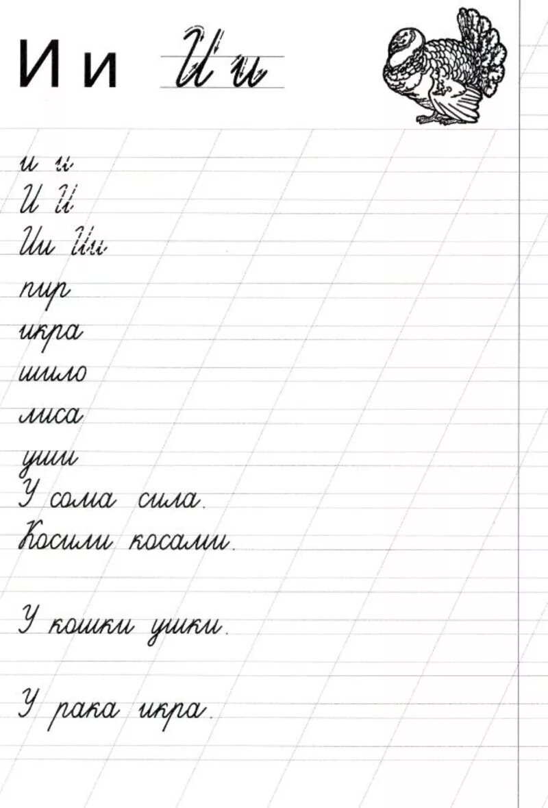 Прописи первые слова. Прописи буквы и слова. Прописи слова. Прописи. Буквы и слоги. Прописи слоги.