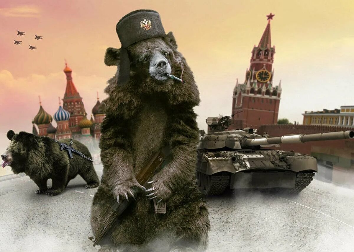 Тема русский медведь. Медведь Россия. Медведь в ушанке. Медведь в военной форме. Медведь за Россию.