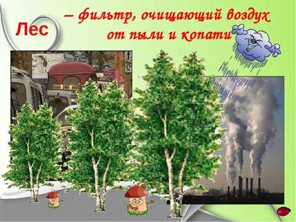 Берегите лес он очищает воздух