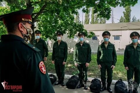 Что нужно чтобы попасть в росгвардию