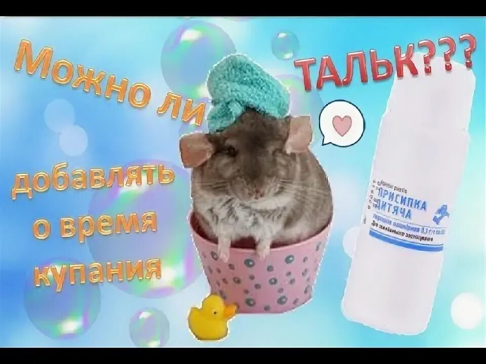 5. Alex песок для шиншилл. Тальк для шиншилл. Лаурон песок для шиншилл. Песок для шиншилл мистер алекс.