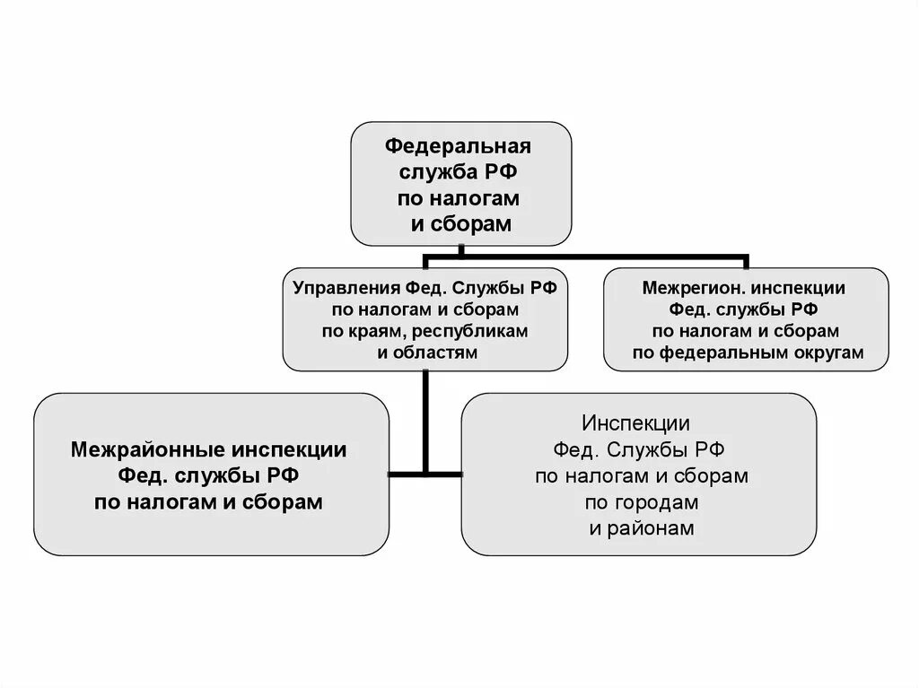 Кто контролирует налоговую систему в новгороде