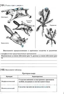 Биология 9 класс лабораторная