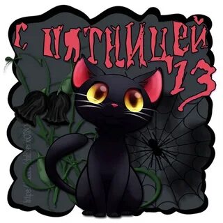 13 кошек
