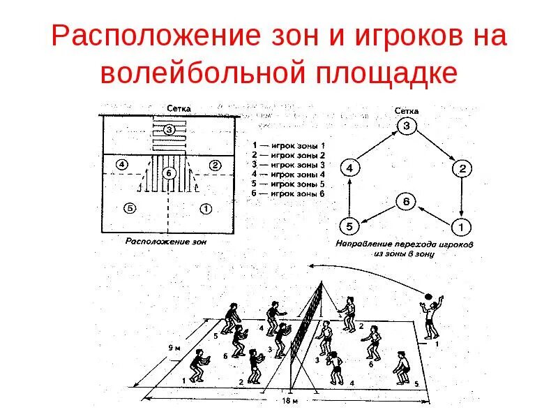 Расстановка игроков на площадке в волейболе. Схема расстановки игроков на волейбольной площадке. волейбольная площадка схема с зонами. волейбол размещение игроков на площадке. волейбольная площадка схема и разметка с расстановкой игроков.