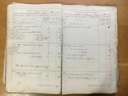 Ревизские сказки вологодского уезда