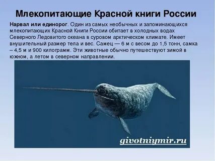 Водные животные международной красной книги