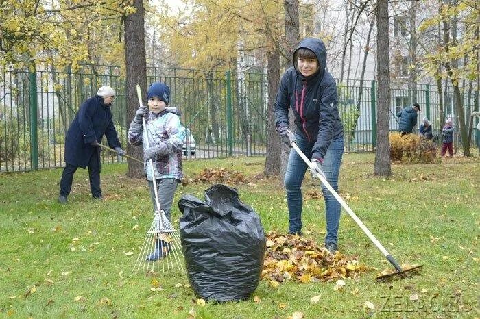 Как проходит субботник в школе. Уборка листьев. осенний субботник. субботник по благоустройству территории. субботник осенью.