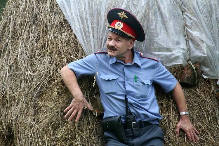 Дело было в августе. Дело было в гавриловке 2. дело было в гавриловке фото.