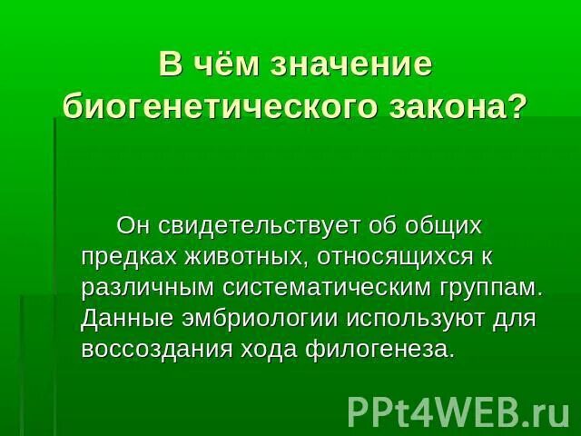 Закон девяти. Значение биогенетического закона. Биогенетический закон основные положения. Формулировка биогенетического закона кратко. Биогенетический закон презентация.