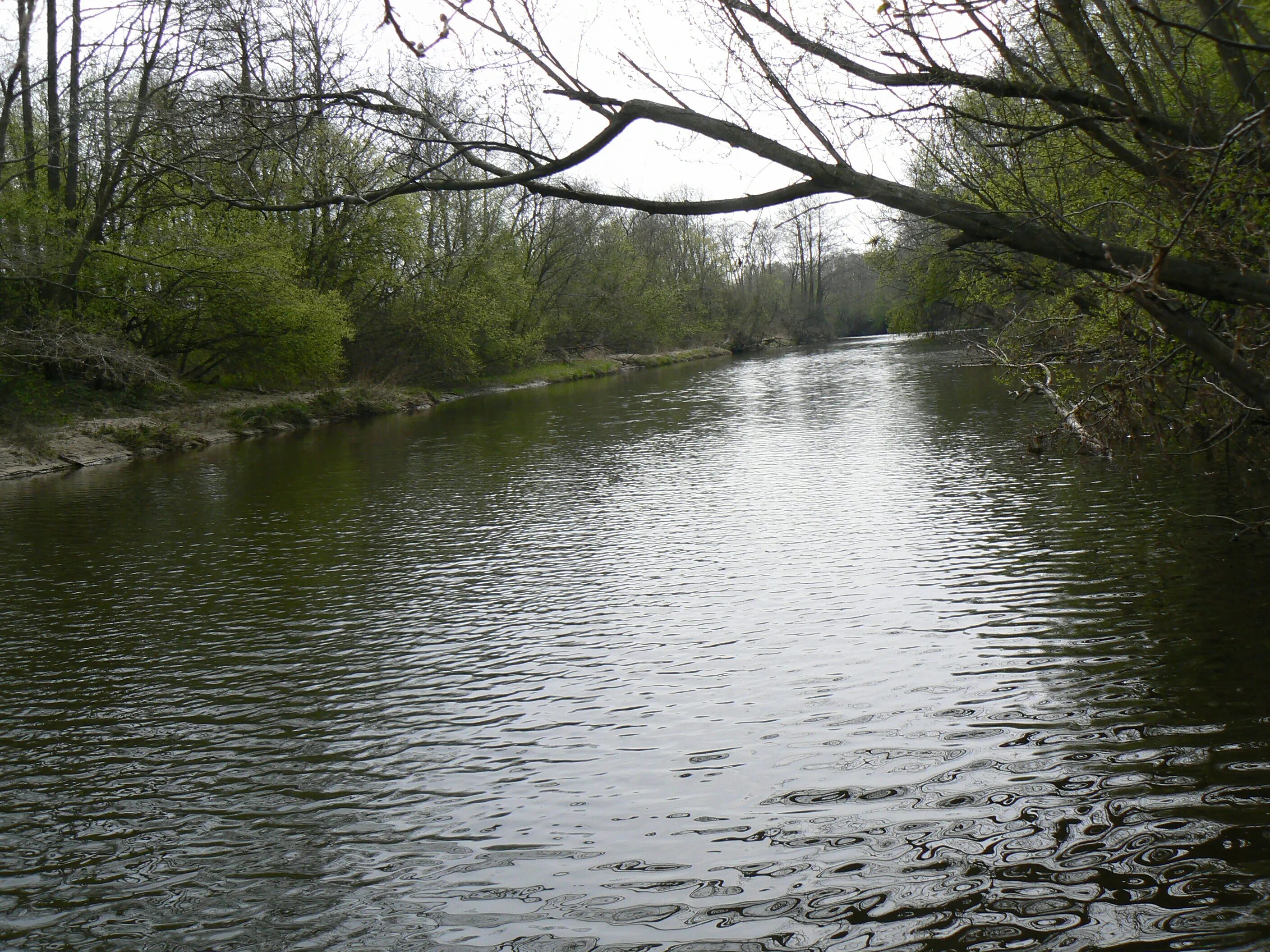 Клайпеда ссср. Литовский город кретинга. Река дэн. Река дане. Кеннет (река).