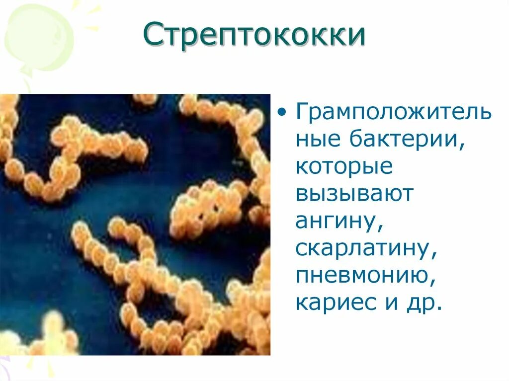 Микроорганизмы вызывающие заболевания называются. Гемолитический стрептококк возбудитель. Стрептококки pyogenes токсинообразование. Стрептококки бактерии описание. Стрептококк группы а.